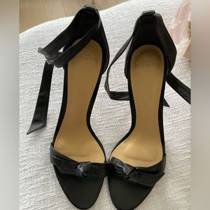 Birman Clarita size 40